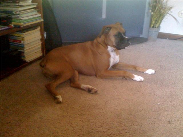 More of my Kyla