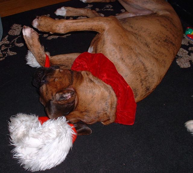 More of the santa hat killing