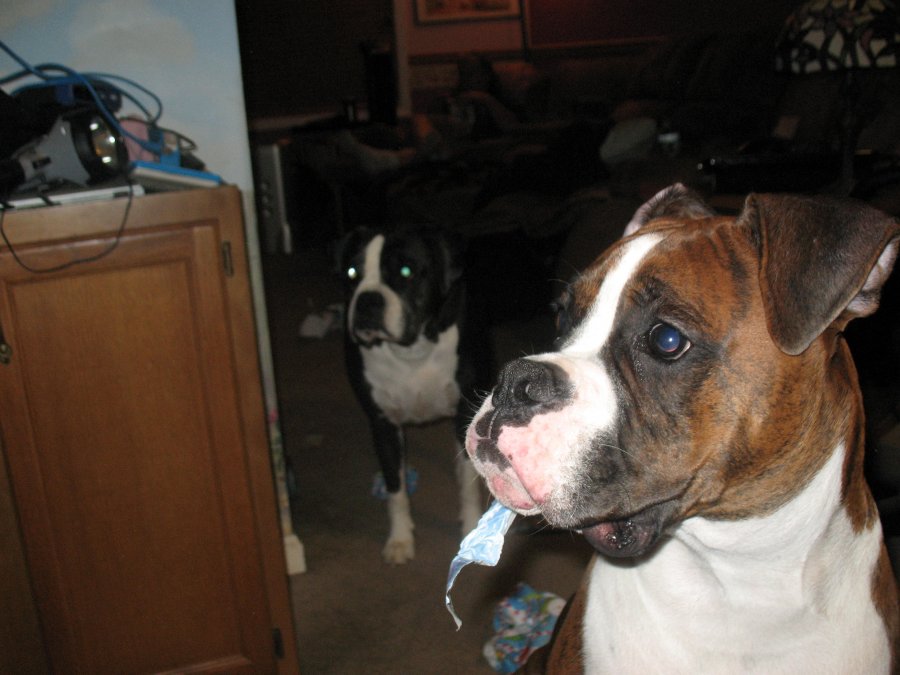 more paper hanging out of his mouth