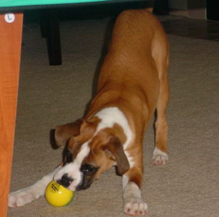 More play time