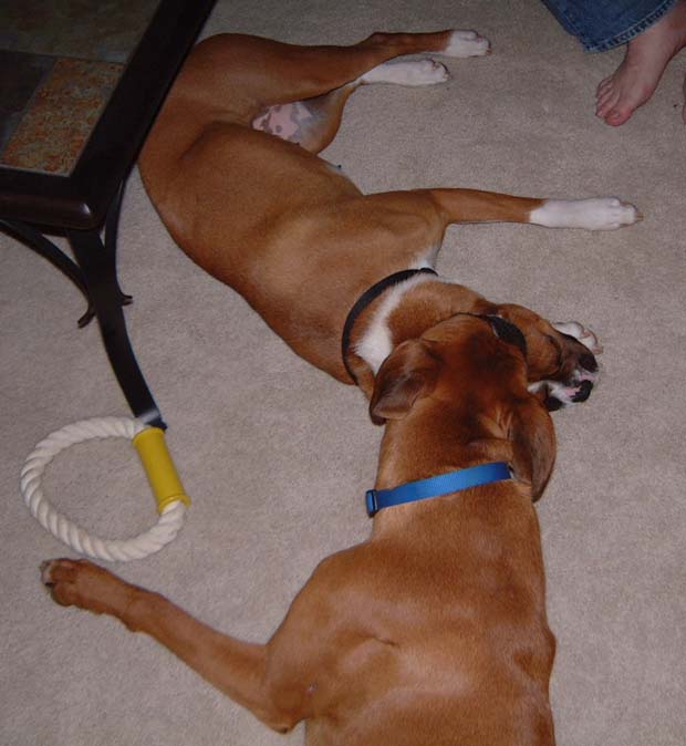 More play?