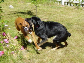 More playing