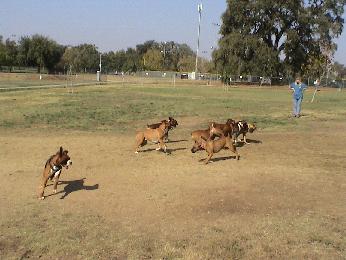 More playing