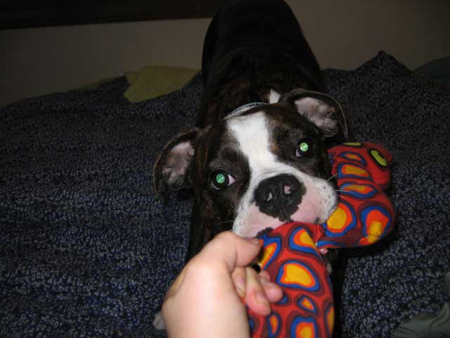 more playtime!
