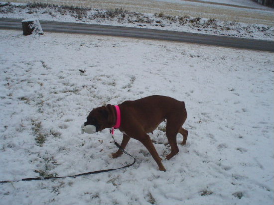 more snow