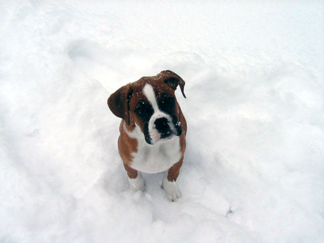 more snow??