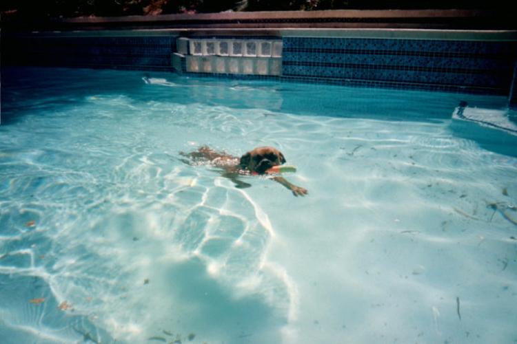 More Swimming