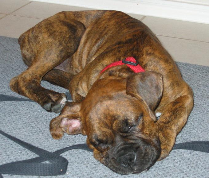 more when he was little