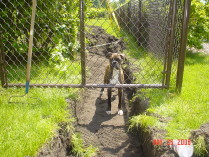 more_tula_024