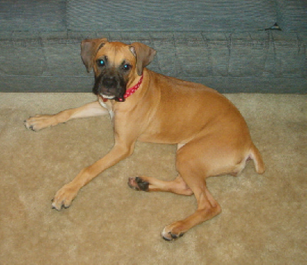 Morgan at 18 weeks old