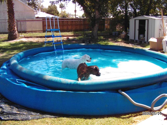 Moses & JJ In the pool