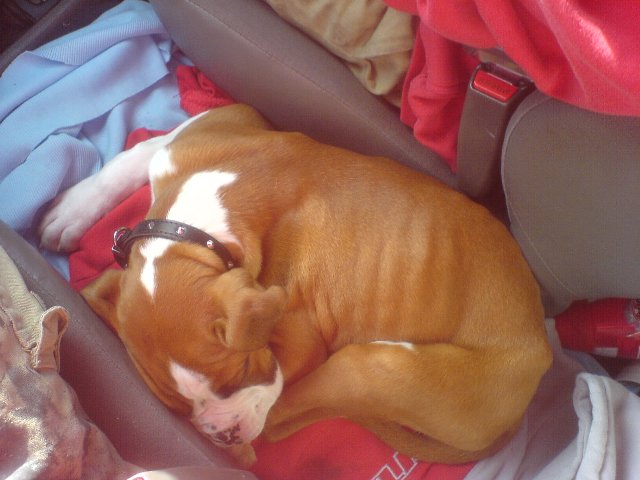 Moses - So Cute!