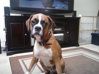 Mosley at 6 months