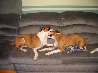 Mother and Son at play