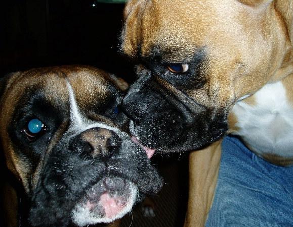 Motherly Love