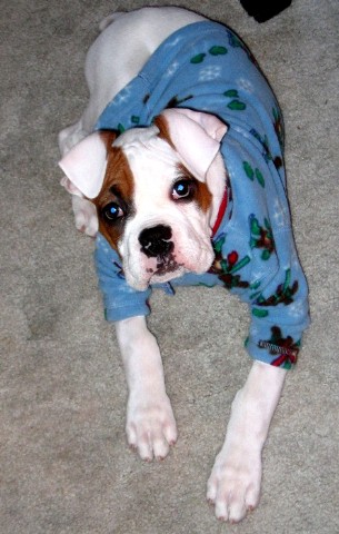 Moto at 11 weeks