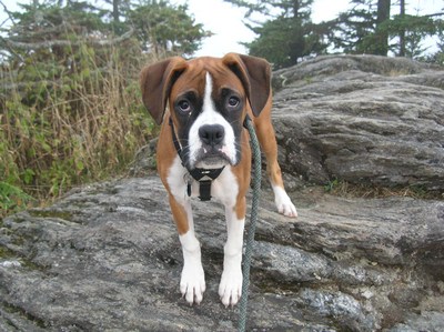 Mountain climber
