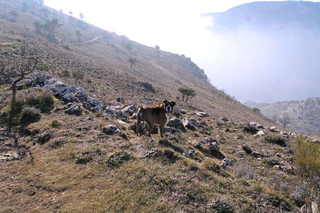 Mountainside