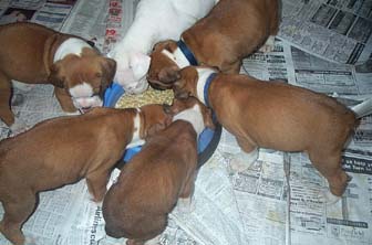 move over boys i gotta eat too