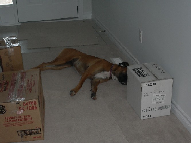 Moving is Hard Work