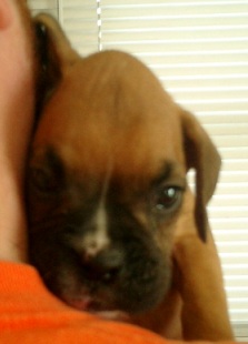 Moxie's first picture