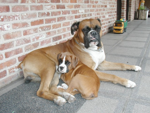 Moya & Raiko