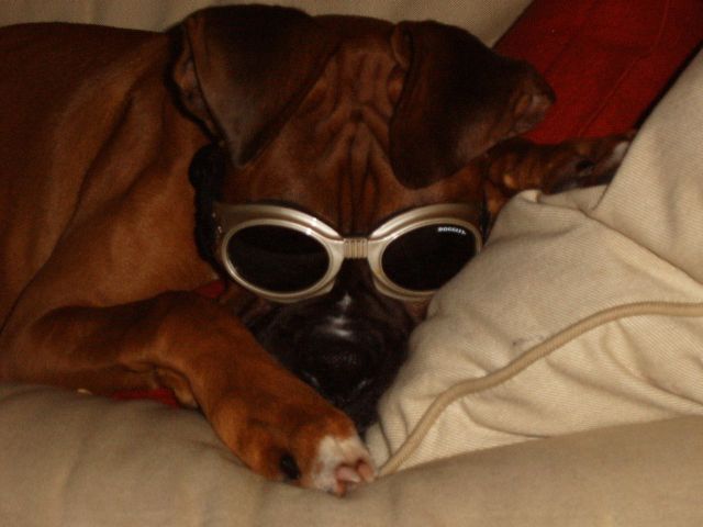 Mr. Cool