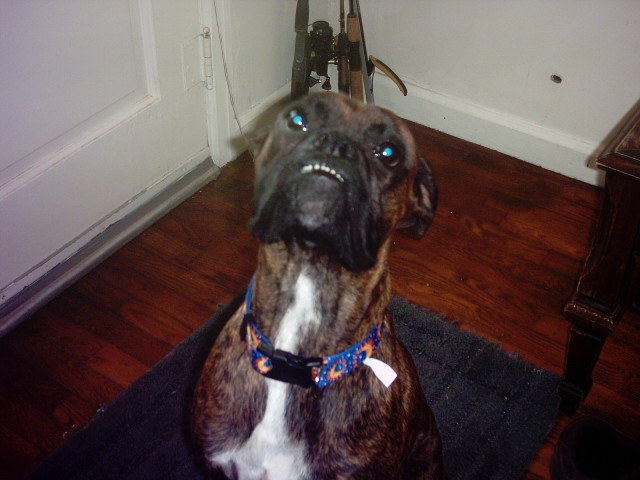 MR T