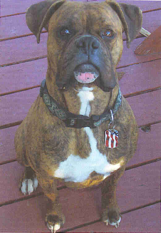 Mr. Tough Guy