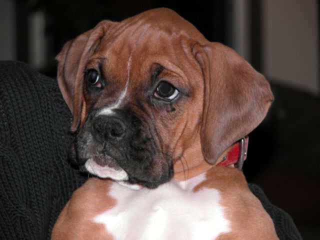 Mr. Tyson