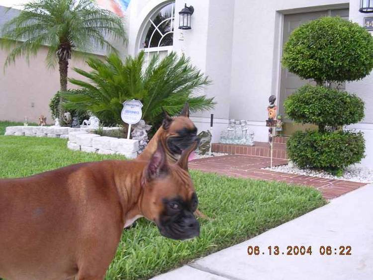 Ms. Tasha was alittle upset with TAZ.