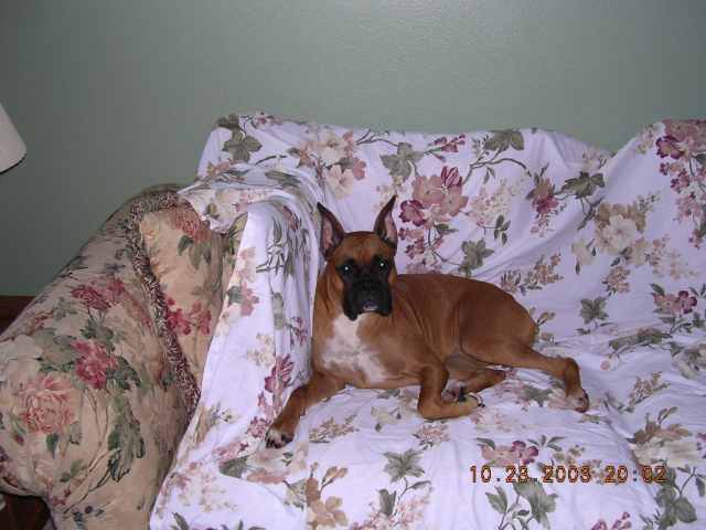 Ms. Tasha