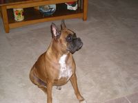 Ms. Tasha