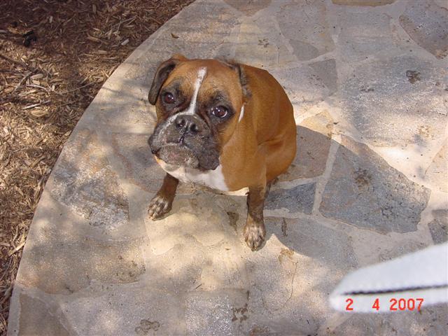 Muddy Lila