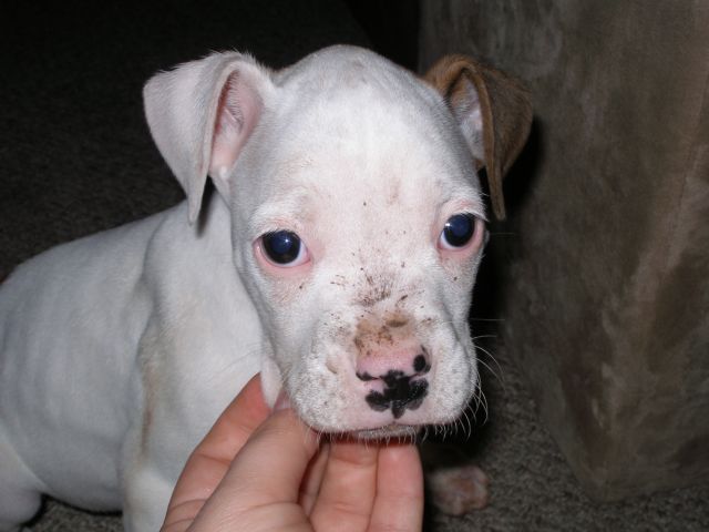 Muddy_Bama2