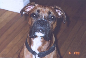 Mug Shot
