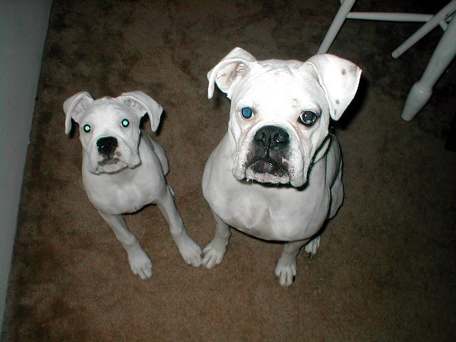 muggin_again