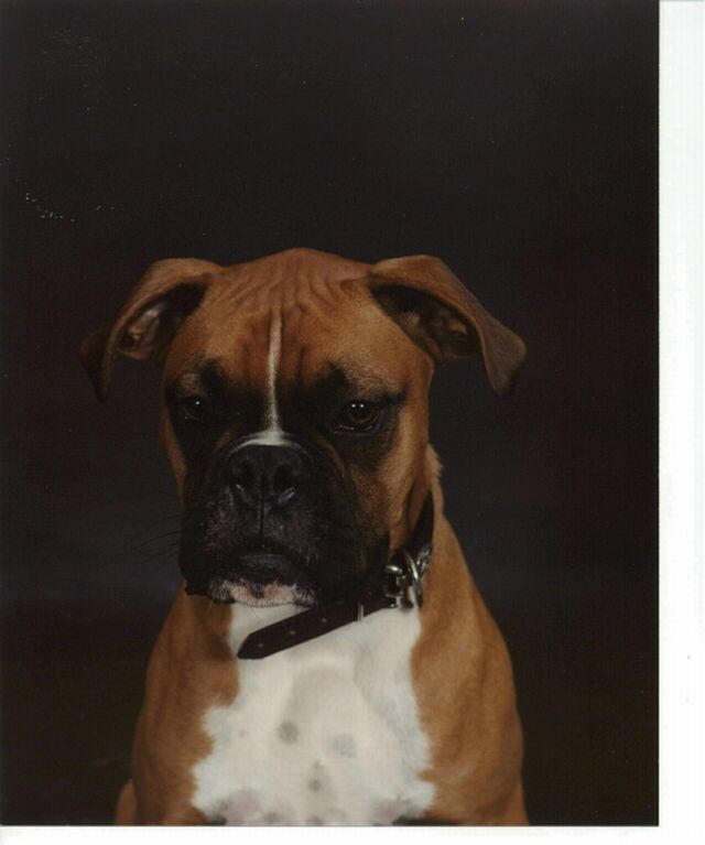 Mugshot