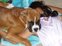 mugsy 4