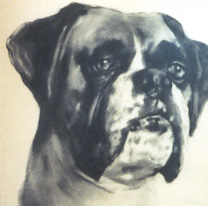 Mugsy Profile