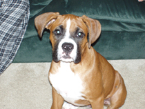 mugsy