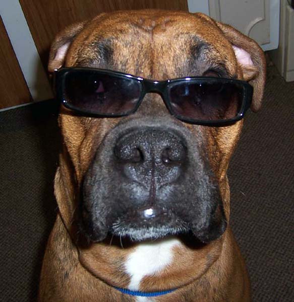 Mugsy