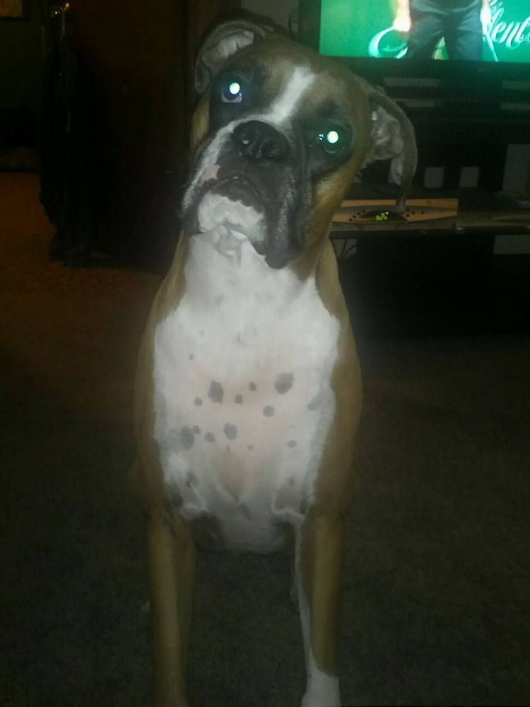 mugzy