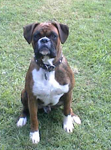 muhammad Ali at 11 mths
