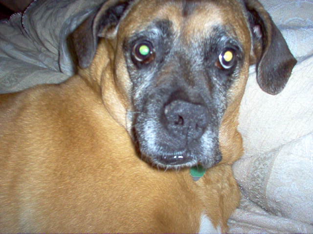 Mum, I'm trying to nap here!