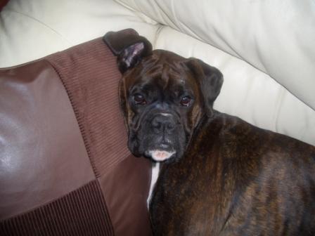 Mum let me sleep!!!