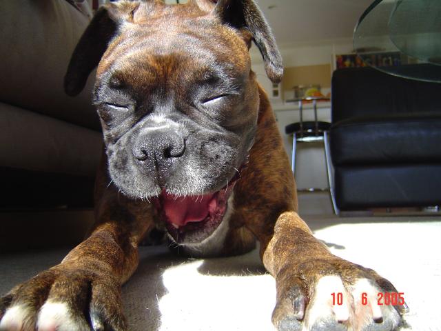 Mum you crack me up!