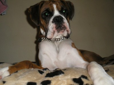 murph