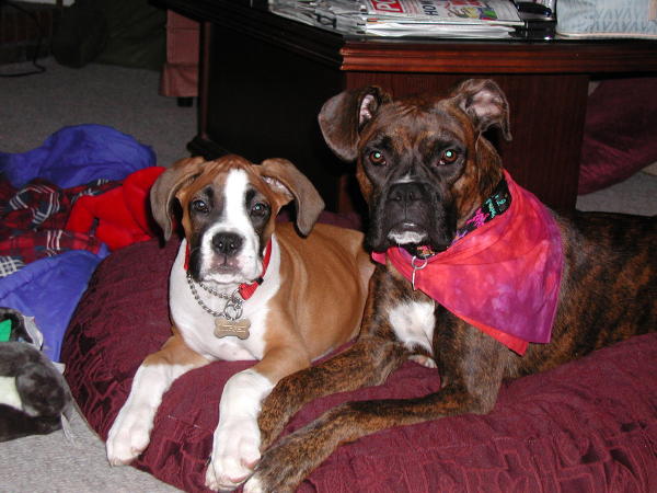 Murphy and Dana Sitting Pretty!