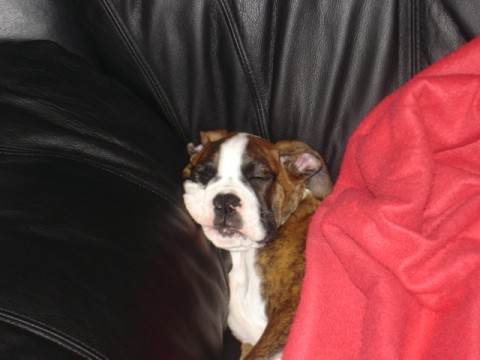 MURPHY DOING  WHAT HE DOES BEST